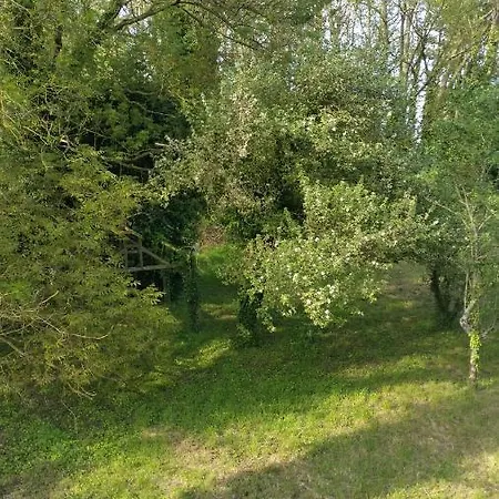 Appartement Aux Nobles Acacias